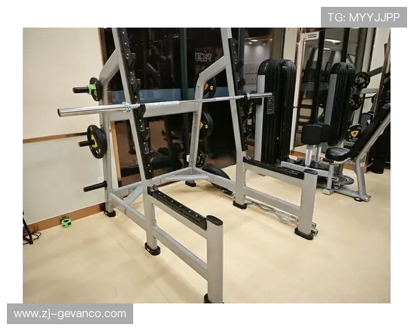 静音型家用深蹲辅助器械新品盘点