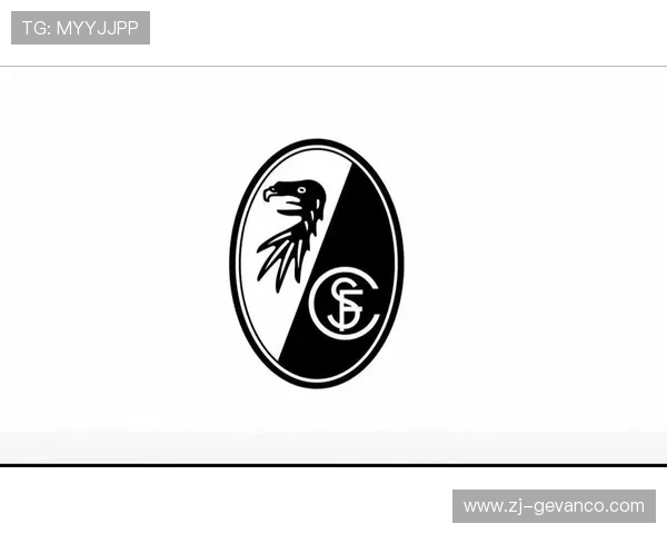 德甲所有球队绰号大全及其历史文化背景