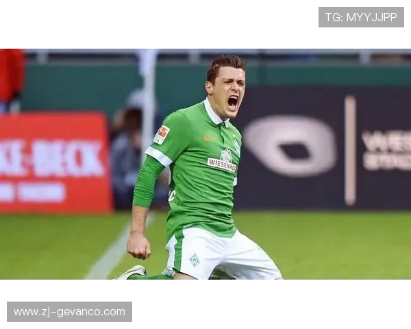 德甲球队盈利能力分析及俱乐部财务健康度