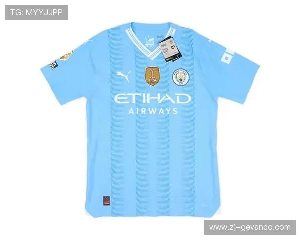 英超2016–17赛季球衣主客场对比图鉴